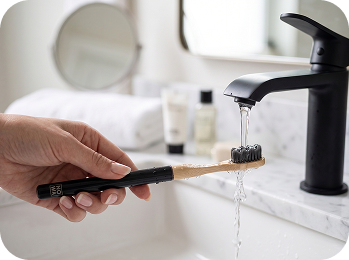 Brush