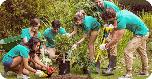 NoWa eco-friendly range